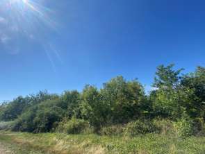 Vente DiversMaisdon-sur-Sèvre