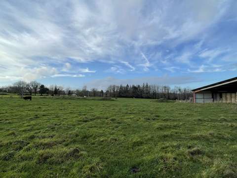 Divers ventes 1 pièce