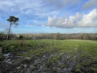 Divers ventes 1 pièce