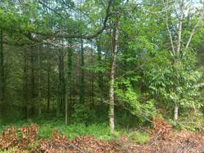 Vente DiversMalguénac