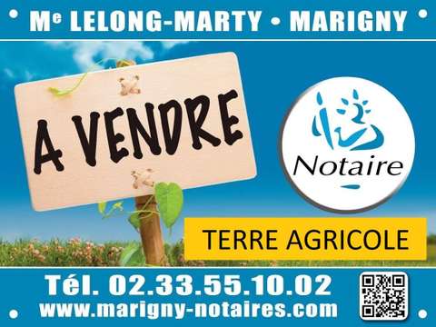Divers ventes Marigny 50