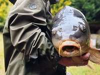 Divers ventes