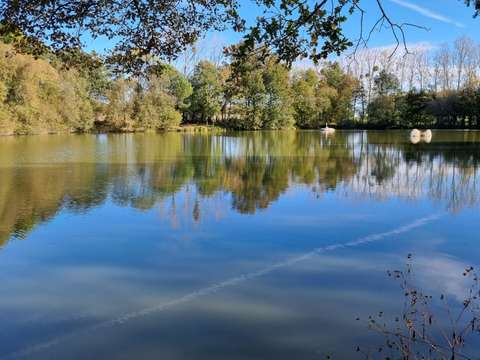 Divers ventes Ménéac 56