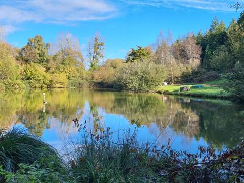 Divers ventes Ménéac 56