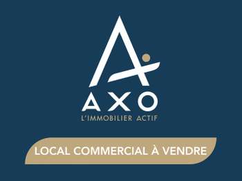 Divers ventes Montaigu 85
