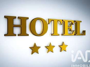Divers ventes Montargis 45