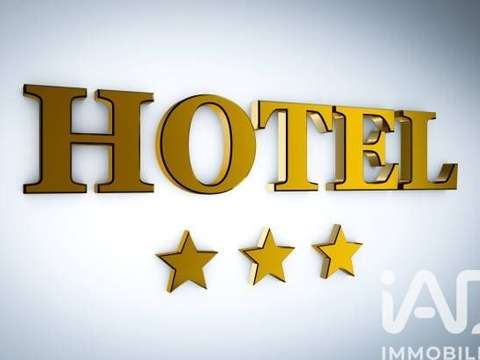 Divers ventes Montargis 45