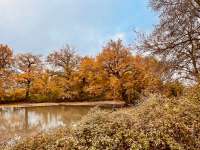 Divers ventes 5 pièces