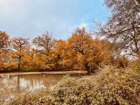 Divers ventes 5 pièces Noyant-Villages 49
