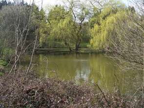 Vente DiversNuillé-sur-Vicoin