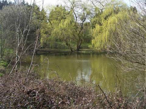 Divers ventes Nuillé-sur-Vicoin 53