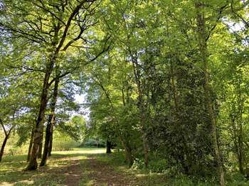 Vente DiversParcé-sur-Sarthe