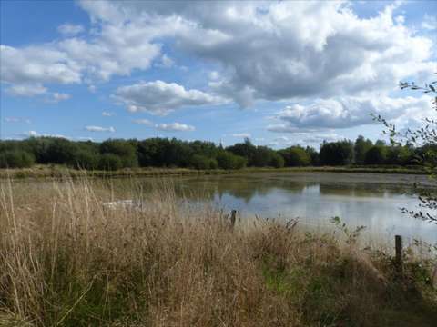 Divers ventes Pirou 50