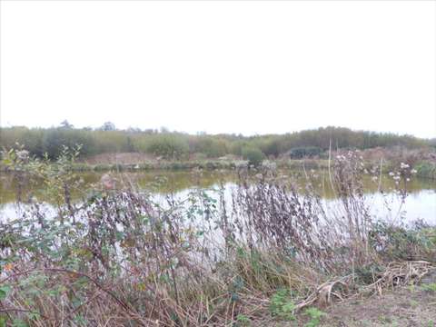 Divers ventes Pirou 50