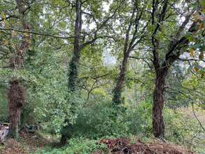 Vente DiversPlancoët