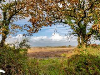 Divers ventes 8 pièces