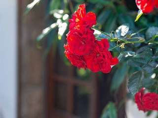 Divers ventes 12 pièces