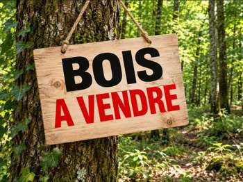 Divers ventes Pontivy 56