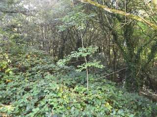 Divers ventes 1 pièce