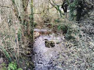 Divers ventes 1 pièce