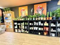 Divers ventes