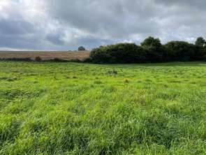 Vente DiversReffuveille