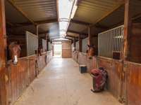 Divers ventes 5 pièces