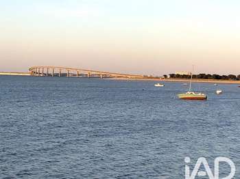 Divers ventes Rivedoux-Plage 17