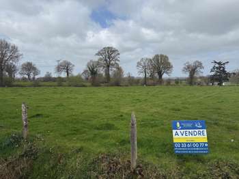 Photo Divers ventes Saint-Aubin-des-Bois