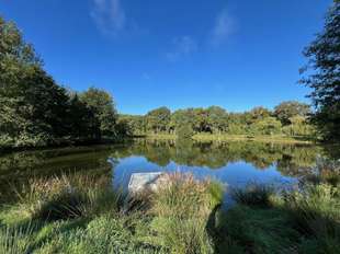 Photo Divers ventes Saint-Christophe-du-Luat