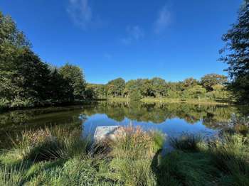 Divers ventes Saint-Christophe-du-Luat 53