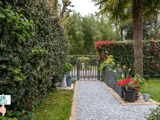 Divers ventes 3 pièces