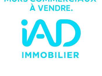 Divers ventes Saint-Étienne 42