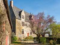 Divers ventes 12 pièces