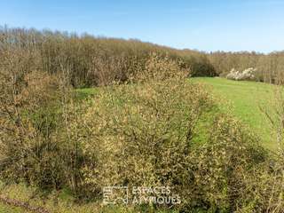 Divers ventes 12 pièces