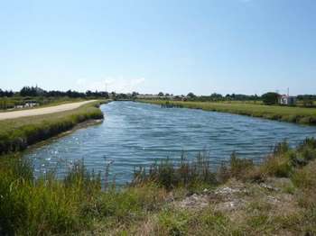 Vente DiversSaint-Hilaire-de-Riez