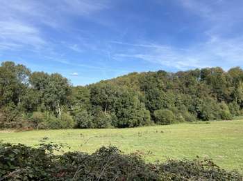 Photo Divers ventes Saint-James