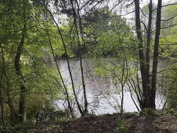 Vente DiversSaint-Martin-du-Bois