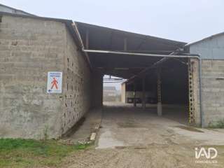 Divers ventes Divers ventes