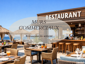 Vente DiversSaint-pierre-la-mer