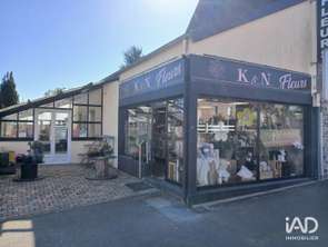 Vente DiversSaint-Sauveur-Lendelin