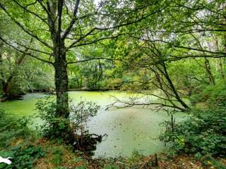 Divers ventes 4 pièces