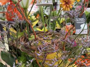 Vente DiversSalon-de-Provence