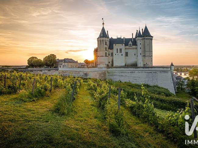 Divers ventes Saumur 49 · 451 000 €