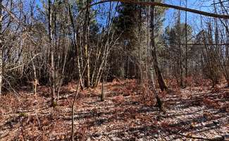 Photo Divers ventes Savigné-sous-le-Lude