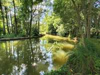 Divers ventes Divers ventes