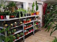 Divers ventes Divers ventes