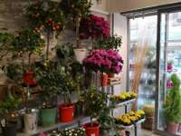 Divers ventes Divers ventes