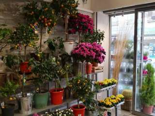 Divers ventes Divers ventes