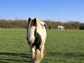 Divers ventes 11 pièces
